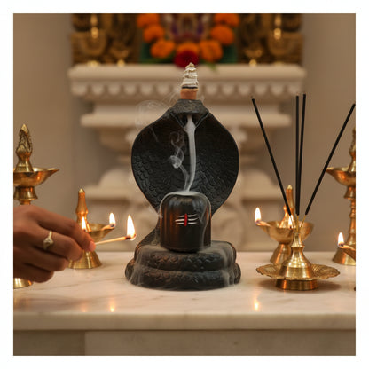 Shiva Lingam Smoke Backflow