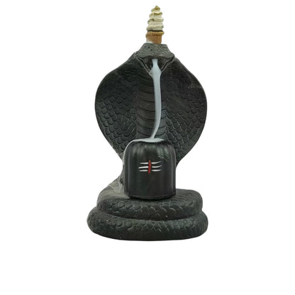 Shiva Lingam Smoke Backflow