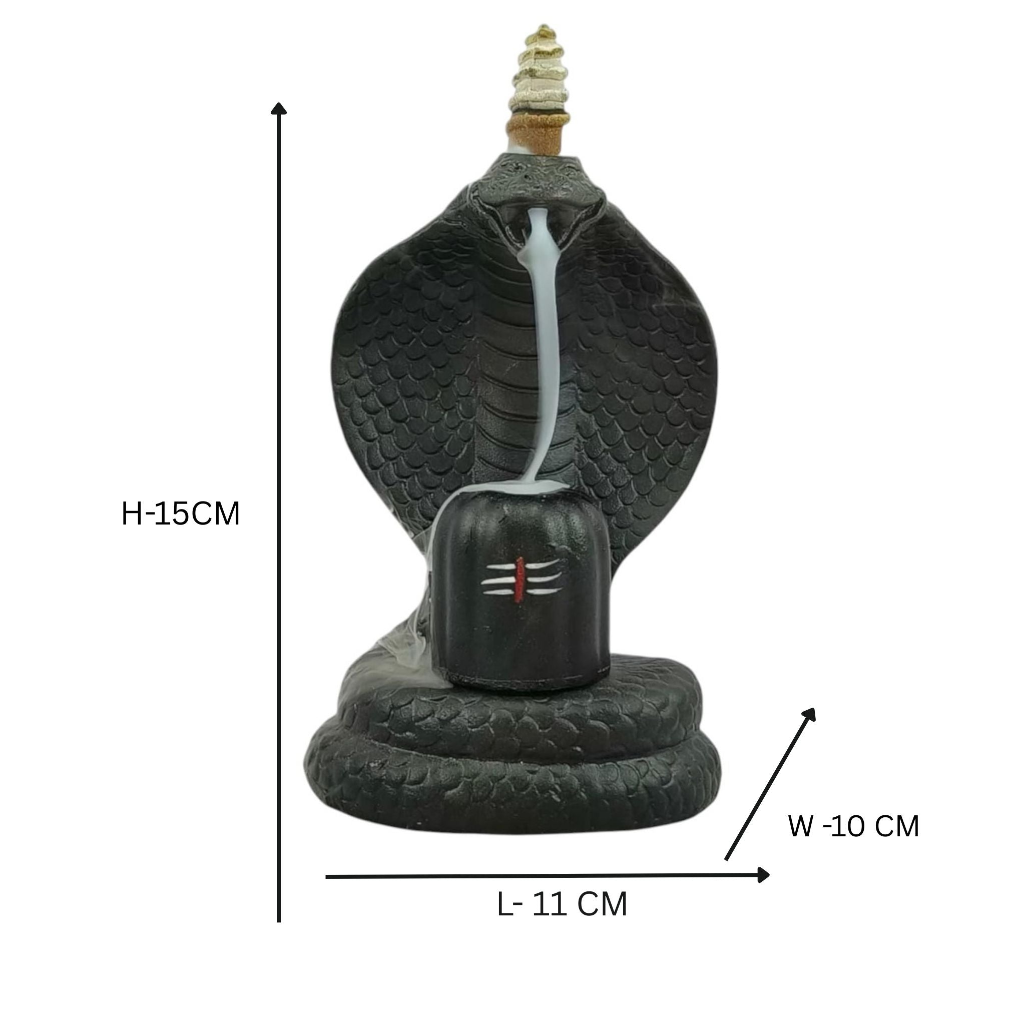 Shiva Lingam Smoke Backflow