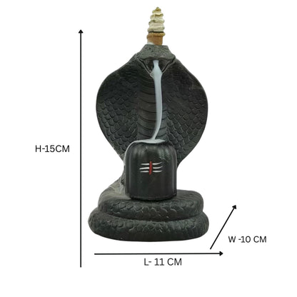 Shiva Lingam Smoke Backflow