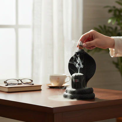 Shiva Lingam Smoke Backflow