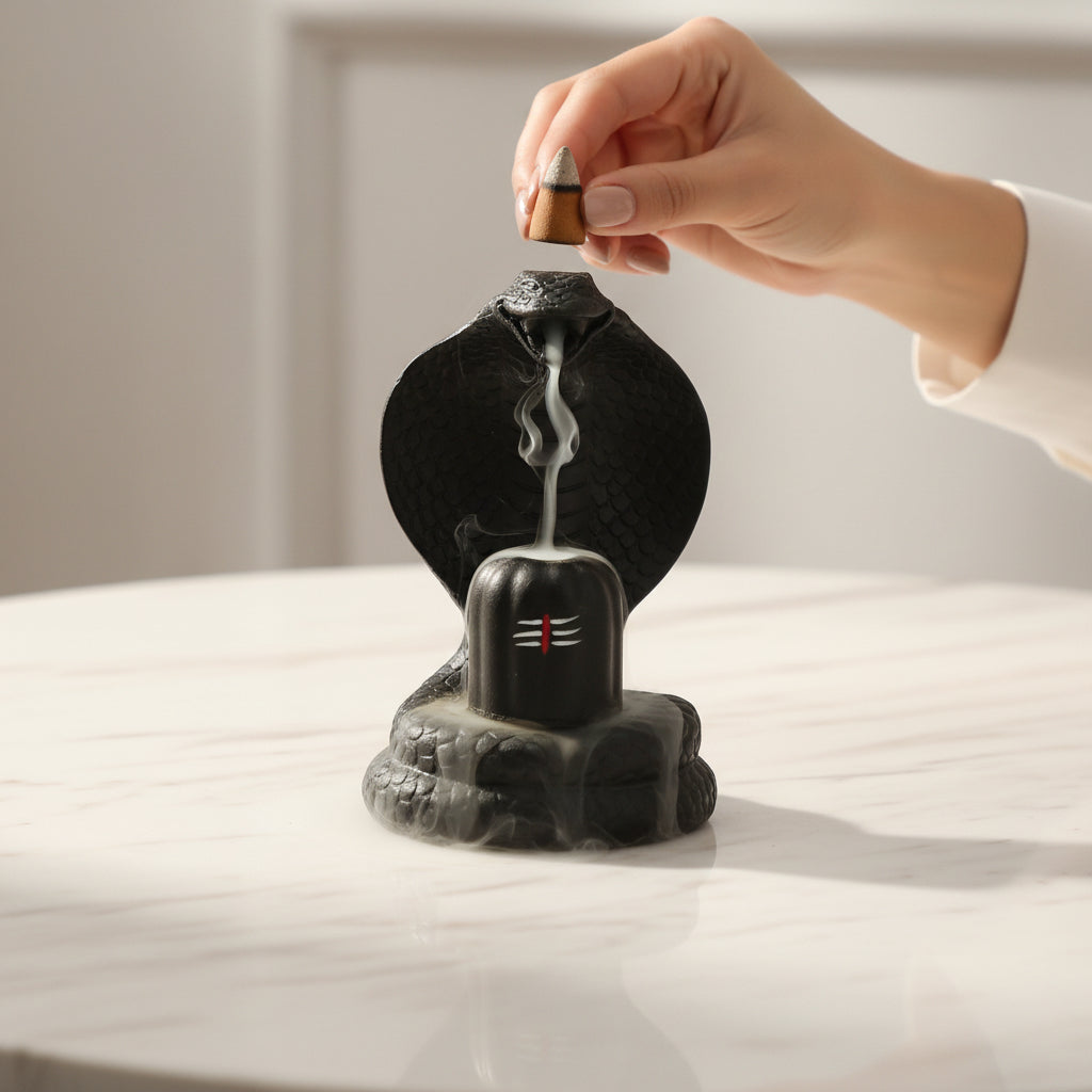 Shiva Lingam Smoke Backflow